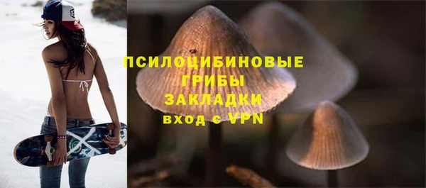 spice Алексеевка