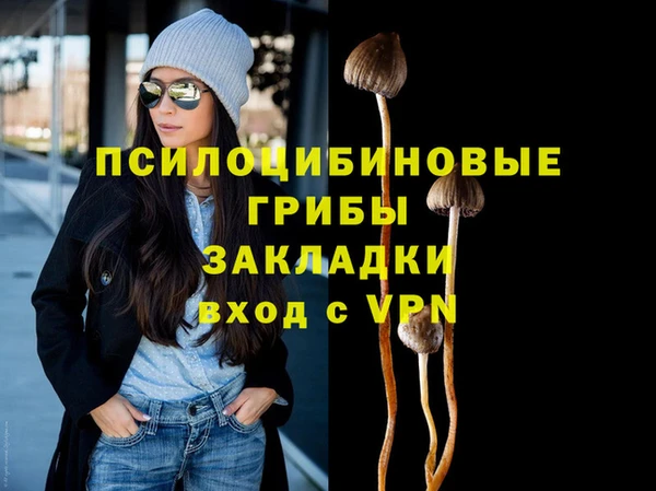 гидра Алзамай