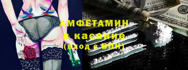 молекула духа Вяземский