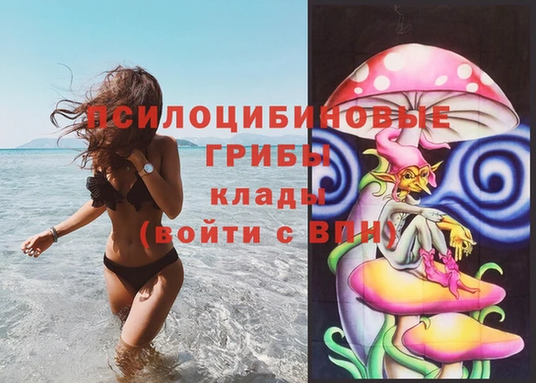 spice Алексеевка
